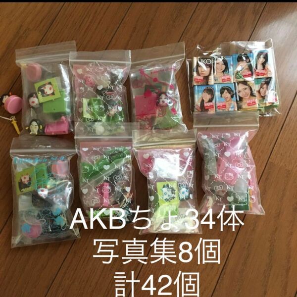 AKB48 ぷっちょコラボ キーホルダー 写真集