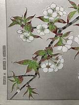 木版画 河原崎奨堂【山桜】芸艸堂版 大判 彫長島 摺吉田 真作 ■ 浮世絵 新版画 植物画 Ukiyoe_画像7