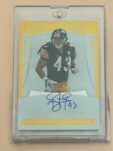 2020 Panini Award Winners Autographs #6 Troy Polamalu トロイ・ポラマル 直筆サインカード Steelers ピッツバーグスティーラーズ