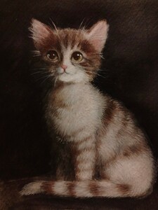 猫のイラスト　手描きイラスト　パステル画　インテリア　B6サイズ