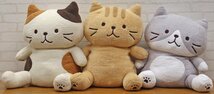 L◎中古品◎『Fuku Fuku Nyanko ぽわぽわBIG抱きぐるみ 3個セット』 ミケランジェロ/チャチャ丸/ハッチ HAPiNS/ハピンズ タグ付き_画像1