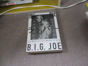 E 監獄ラッパー B.I.G. JOE 獄中から作品を発表し続けた、日本人ラッパー6年間の記録2011/8/25 B.I.G. JOE