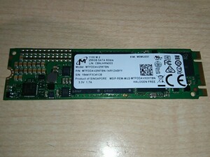 Micron M.2 SATA SSD 256GB (O21925)