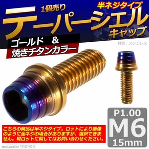 M6×15mm P1.0 テーパーシェル キャップボルト ステンレス 車/バイク/自転車 ドレスアップ パーツ ゴールド＆焼きチタンカラー 1個 TB0908