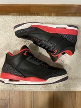 Nike Air Jordan 3 Retro Crimson 29cm_画像5