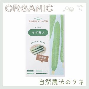 【イボ美人】 国内育成・採取 家庭菜園 種 タネ きゅうり 野菜 胡瓜