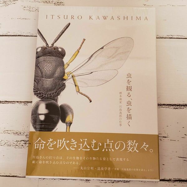 シュリンク付き新品未使用◆虫を観る、虫を描く : 標本画家川島逸郎の仕事 スケッチ アート イラスト