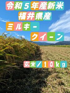 福井県産ミルキークイーン／玄米10kg／⑤年産新米／特別栽培米／精米無料サービス