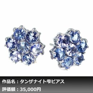 【1円新品】イケゾエガレ｜3.50ct 天然タンザナイト K14WG仕上ピアス｜作家モノ｜本物保証｜NGL鑑別対応