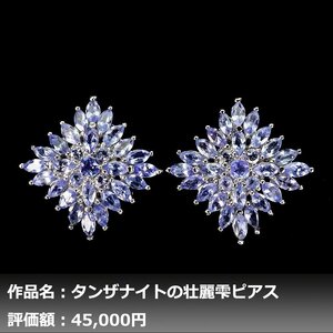 【1円新品】イケゾエガレ｜4.00ct 天然タンザナイト K14WG仕上ピアス｜作家モノ｜本物保証｜NGL鑑別対応