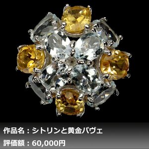 【1円新品】イケゾエガレ｜12.00ct 天然アクアマリン&シトリン&ガーネット K14WG仕上リング 20号｜作家モノ｜本物保証｜NGL鑑別