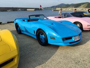 超稀少 81 C3 Corvette Convertible ☆ customベースvehicle corvette stingray
