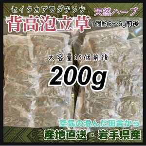 【天然ハーブ入浴剤】背高泡立草　セイタカアワダチソウ　個包装200g セイタカアワダチソウ 天然素材 荒れやアトピー 背高泡立草