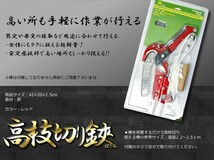 【送料無料・一部地域除く】40　高枝切バサミ 鋏のみ 超軽量 剪定 果実 採取 高枝切鋏 ガーデニング 庭 枝切り TEC-POTEDAD_画像2