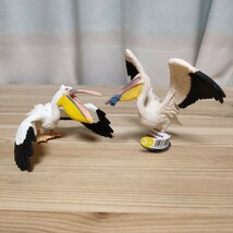 ☆シュライヒ　ペリカン　2体セット　動物フィギュア　☆Schleich_画像1