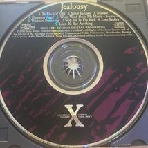 Ｘ／Ｊｅａｌｏｕｓｙ_画像2