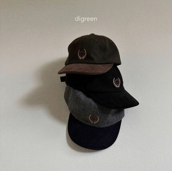 韓国子供服　digreen