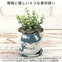 ☆ ケール ☆ PLUS the green アーバンプランツポット 3号 植木鉢 プラスチック おしゃれ 3号 鉢カバー 3号鉢 プランター プランターカバー_画像5