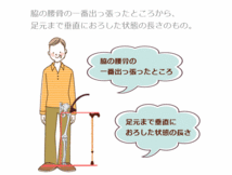 【平日15時まで即日出荷】たつサポ【杖 ステッキ つえ すてっき 人気 売れ筋 贈り物 プレゼント 補助グリップ 付き 杖 伸縮杖 幸和製作所】_画像10