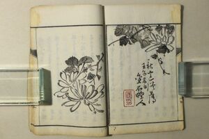 「俳諧 雲烟供養集 第2集」真言宗千光寺住職長尾真海 明治15年(1882年) 1冊｜俳句集 国文学 誹諧 仏教 古書 和本 古典籍 n5