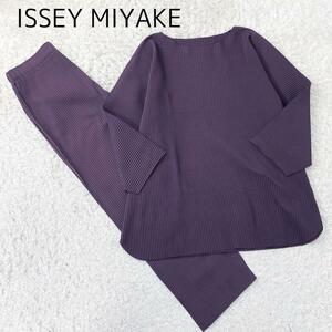 極美品 XL相当 大きいサイズ ISSEY MIYAKE イッセイミヤケ プリーツ プリーズ セットアップ パープル 紫 メンズ 男 伸縮性