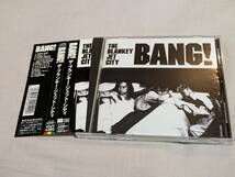 THE BLANKEY JET CITY ブランキージェットシティ BANG! 非売品 サンプル CD 希少 レア_画像2