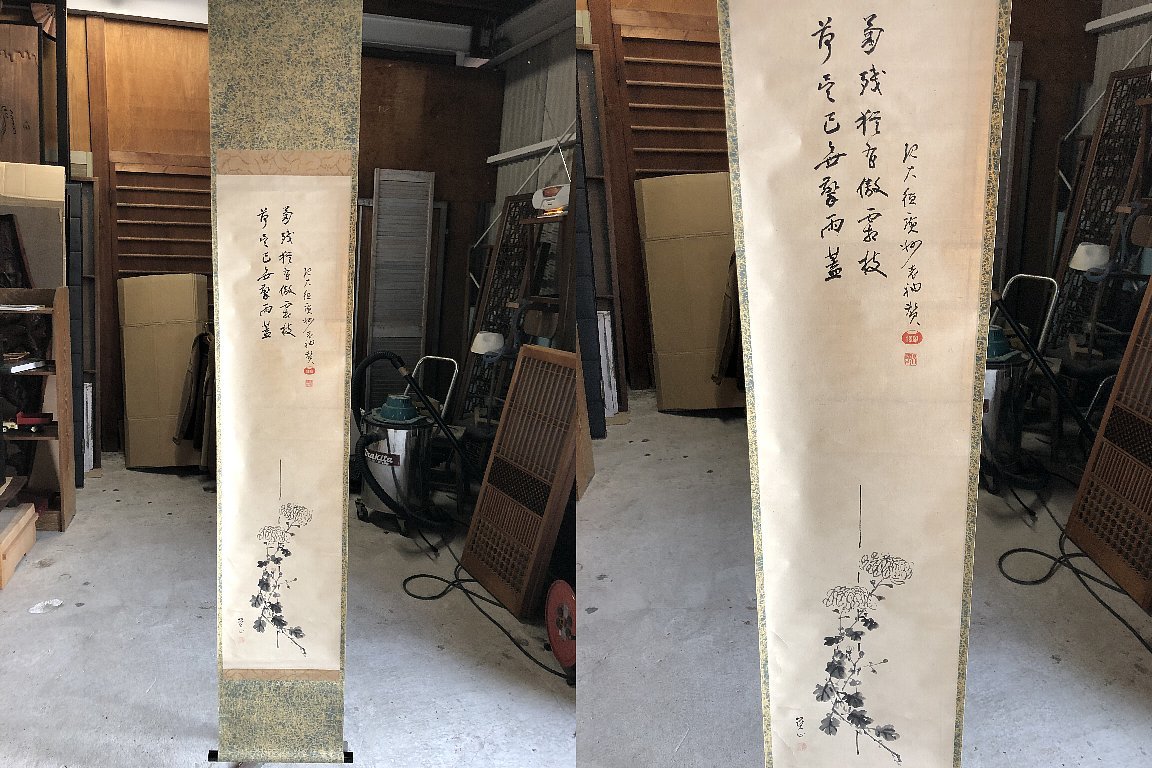 Pintura de crisantemo en rollo colgante Mori Sekizan En alabanza a Guangzhou Munesawa (483.ª generación), el cuarto jefe del templo Daitoku-ji/Obra genuina/Kiri Kyobako▼Pintura en tinta de artista japonés, cuadro, pintura japonesa, flores y pájaros, pájaros y bestias