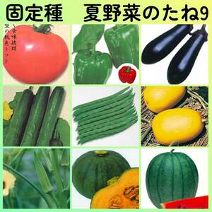 固定種夏野菜の種9◆トマト+ピーマン+茄子ナス+胡瓜キュウリ+つるありインゲン+マクワウリ+オクラ+南瓜カボチャ+西瓜スイカ