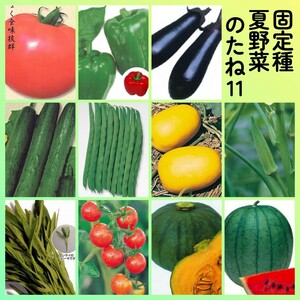 固定種夏野菜の種11◆大玉トマト+ピーマン+ナス+キュウリ+つるありインゲン+マクワウリ+オクラ+空芯菜+ミニトマト+南瓜カボチャ+西瓜スイカ