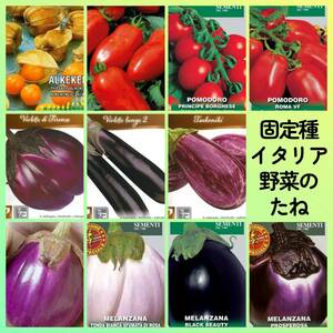 固定種イタリア野菜種11◆食用ホオズキイタリアントマトナスサンマルツァーノボルゲーゼローマVFフィレンツェゼブラナスロッサビアンコほか