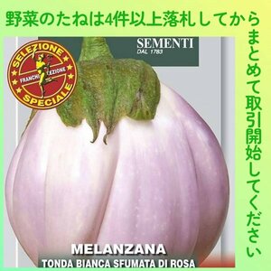 4件以上落札◆イタリアナス種◆トンダ・ビアンカ 13粒◆固定種イタリアンナス トンダビアンカなす丸茄子