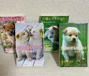 天国の犬ものがたり　1 2 5 7 4冊セット（小学館ジュニア文庫　堀田敦子／原作　藤咲あゆな／著　環方このみ／イラスト 