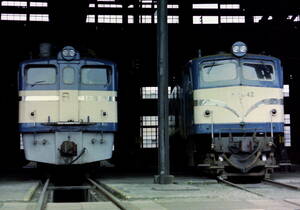 ◆◆ 【写真1枚】 ED60 5 & EF58 42　竜華機関区　KGサイズ　◆◆