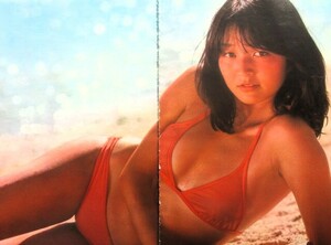 ♪倉田まり子（坪田まり子）切り抜き！石野真子竹内まりや中野知子世良公則川崎麻世松田優作ゴダイゴ松原のぶえ井上望桑江知子早坂あきよ