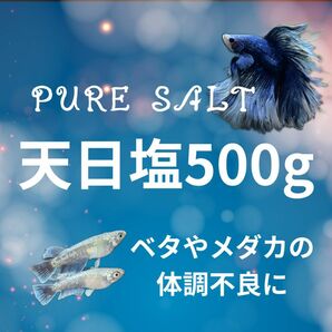 天日塩　500g