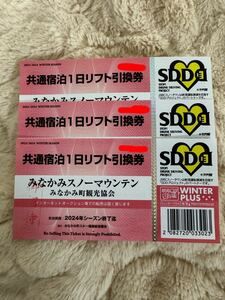 みなかみ町スキー場リフト券(ノルン、ほうだいぎ、水上高原、奥利根、その他スキー場