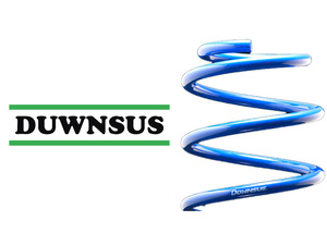 [エスペリア]AYH30W ヴェルファイアハイブリッド_エグゼクティブラウンジ(4WD_H30/1～R1/11)用ダウンサス[車検対応]