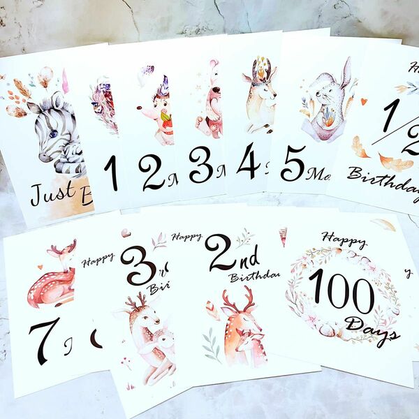 【16枚】アニマル 月齢カード マンスリーカード 動物 カード 赤ちゃん ベビー お祝い 記念日 ニューボーン 百日祝 お誕生日