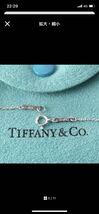 【TIFFANY&Co.】エターナルサークル　ペンダント　1021_画像5