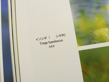 L/写真集 とりが鳥であったとき 富山県野鳥保護の会 桂書房 1995年 /古本古書_画像4