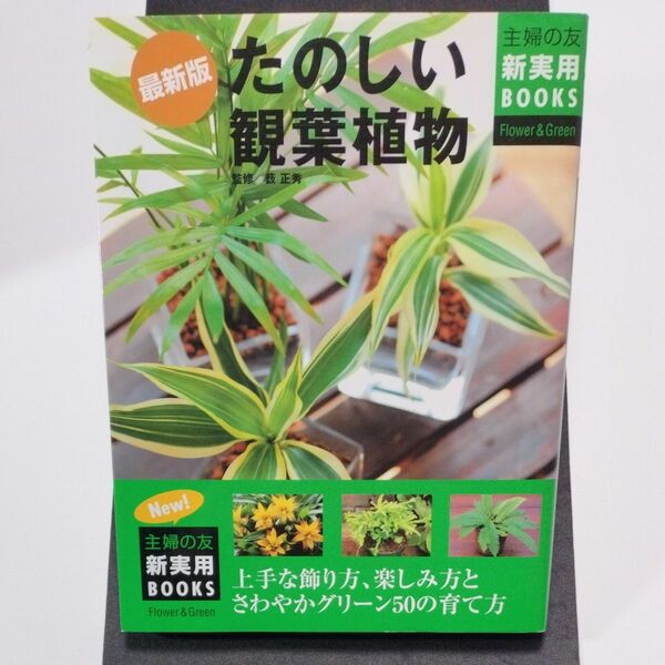 たのしい観葉植物　上手な飾り方、楽しみ方とさわやかグリーン５０の育て方 （主婦の友新実用ＢＯＯＫＳ　Ｆｌｏｗｅｒ　＆　Ｇｒｅｅｎ）