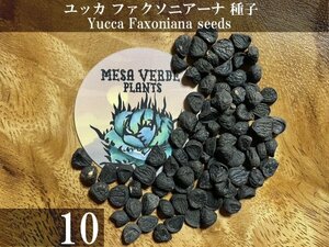  yucca fak Sony a-na seeds 10 bead +α Yucca Faxoniana 10 seeds+α kind 