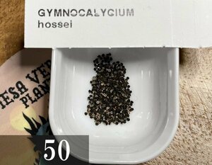 ギムノカリキウム ホセイ 種子 50粒+α Gymnocalycium Hossei 50 seeds+α ギムノカリキュウム 種 サボテン 魔天竜