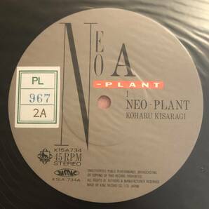 12 国内盤 如月小春 Neo-Plant Traumerei Tailの画像2