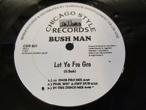 12インチ 『Bush Man / Let Yo Fro Gro』 Hula　Mike Dunn　Paul Johnson