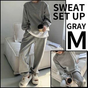  sweat top and bottom lady's setup room wear lady's long sleeve gray M