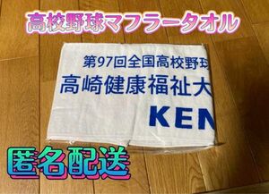 高校野球 マフラータオル 群馬県 健大高崎 2024選抜優勝校