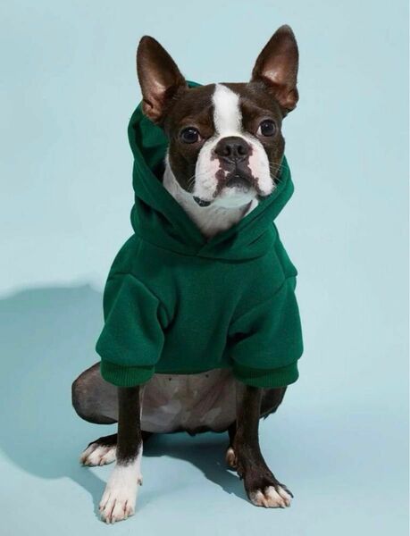 犬服 ペット洋服 パーカードッグウェア 散歩 冬春 グリーン　緑　Mサイズ