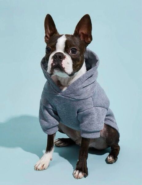 犬服 ペット洋服 パーカードッグウェア 散歩 冬春 グレー Mサイズ