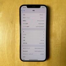 Apple｜iPhone 12 Pro 128GB｜SIMフリー｜最大バッテリー容量87%｜グラファイト｜動作確認済｜箱ケーブルあり_画像6